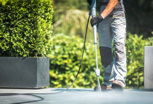 Best House Exterior Washing  in Lexington, OH